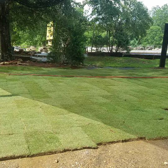 Playground Mulch