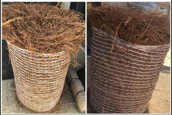 Pine Straw Roll