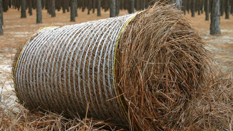 Pine Straw Rolls